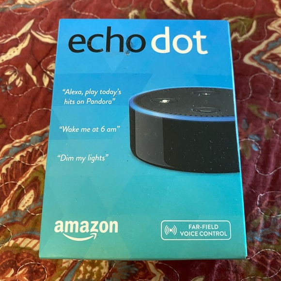Echo Other - Echo dot